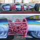 Illustration for article titled Anatomical murals take us inside man-eating sharks and cartoon rabbits